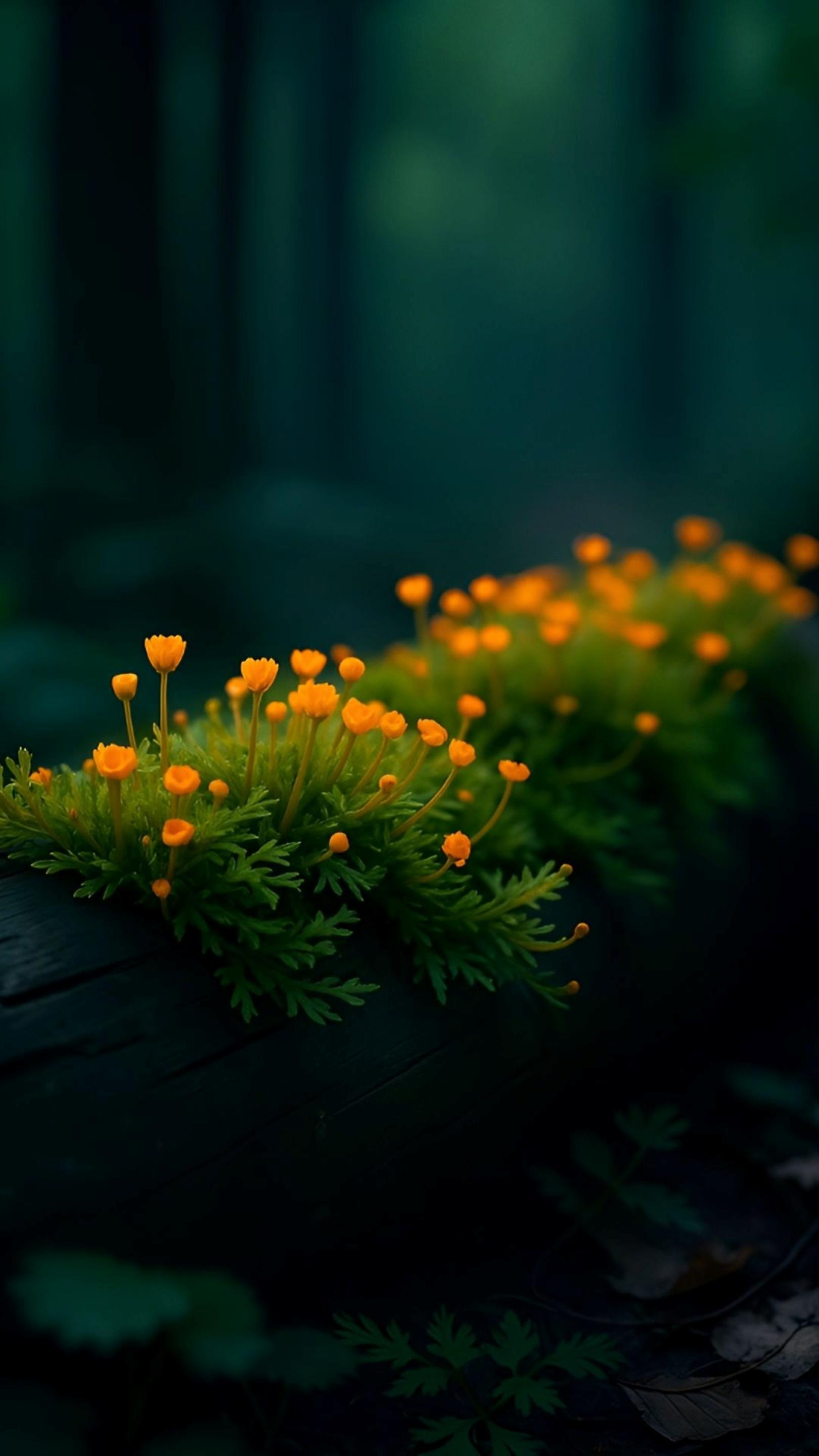 Forest Glow Bloom