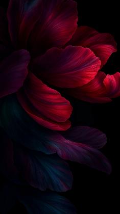 Velvet Eclipse