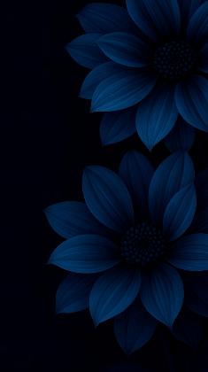 Celestial Blossoms