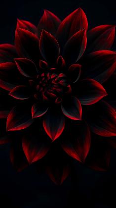 Midnight Ember Bloom
