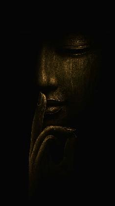 Silent Wisdom