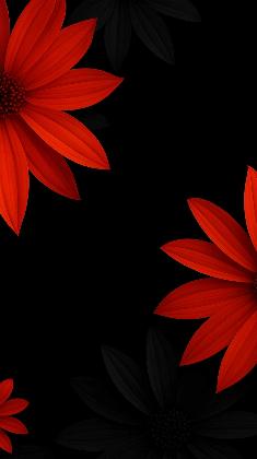 Crimson Bloom Elegance