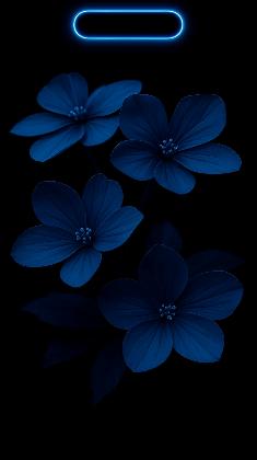 Midnight Bloom