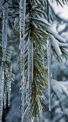 Winter cozy