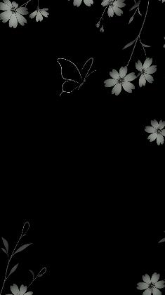 Midnight Bloom