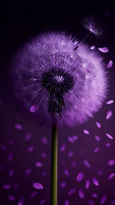 Whispers of Violet