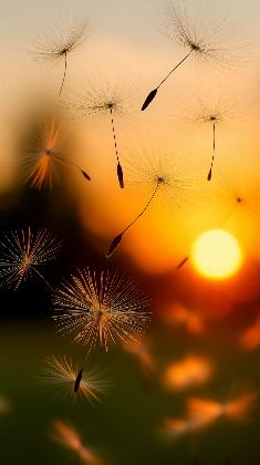 Golden Drift