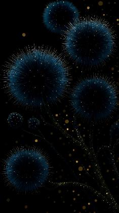 Midnight Spark Bloom