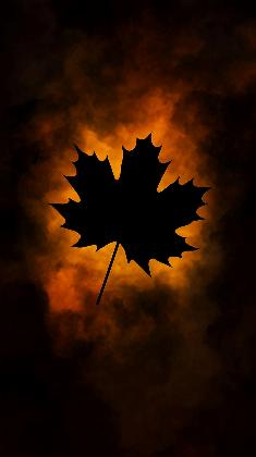 Shadow Leaf