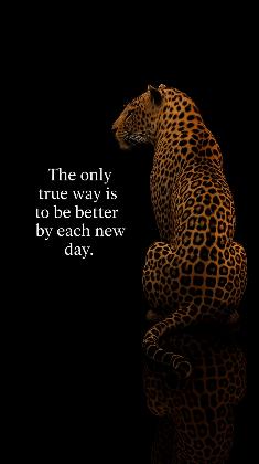 Rise of the Wild Spirit